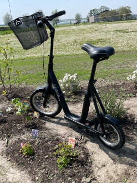 Loopfiets  voor volwassenen