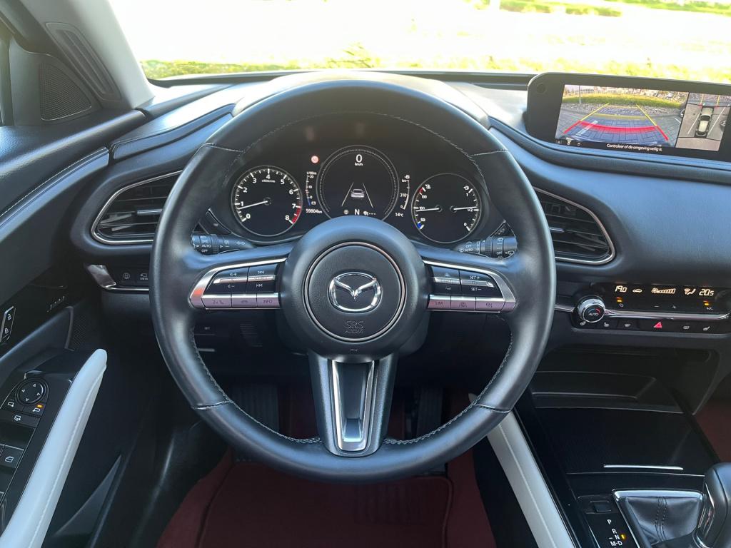 Mazda Cx-30 2.0 e-skyactiv-x m hybrid100th anniversary ed.|trekhaak|rijklaa