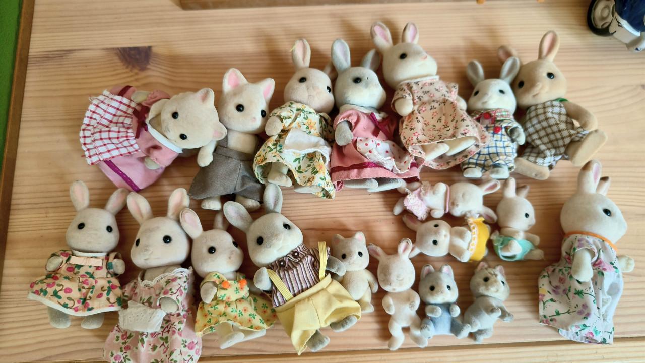Grote set Sylvanian Families