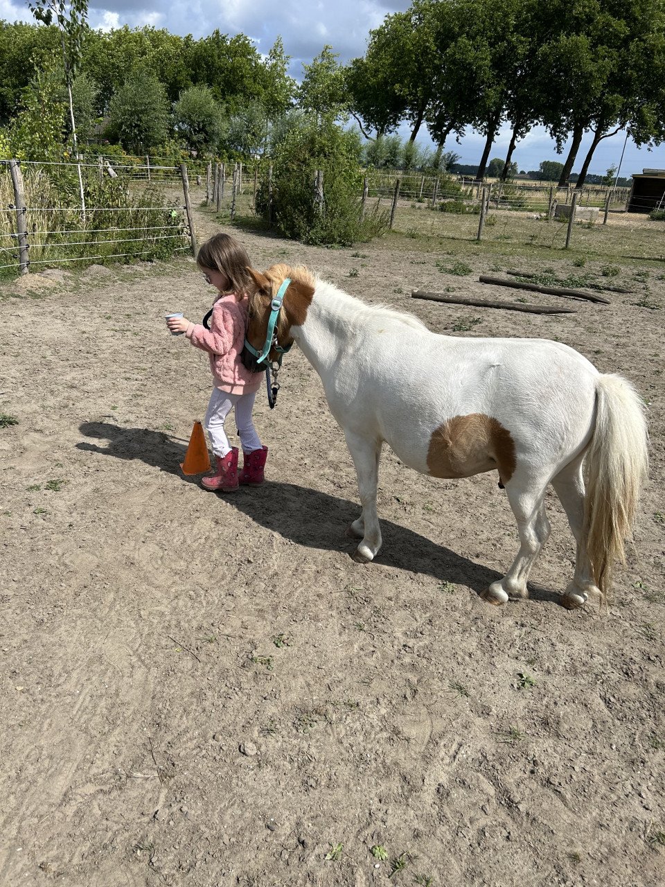 #Equi Pride# beperkte kinderlessen per augustus