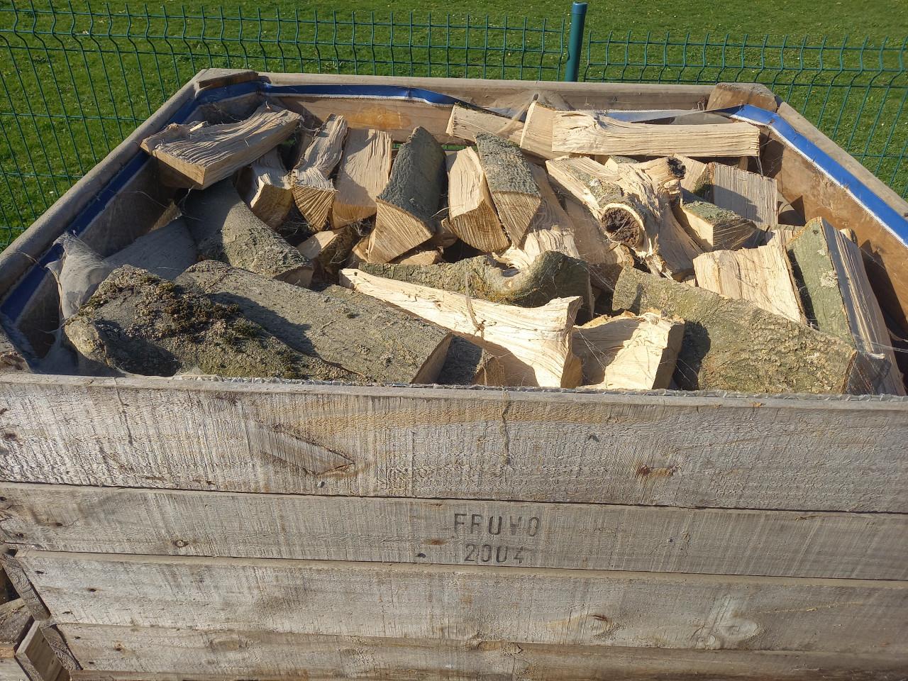 Diverse soorten haardhout; es, veldesdoorn/moerbei, wilg