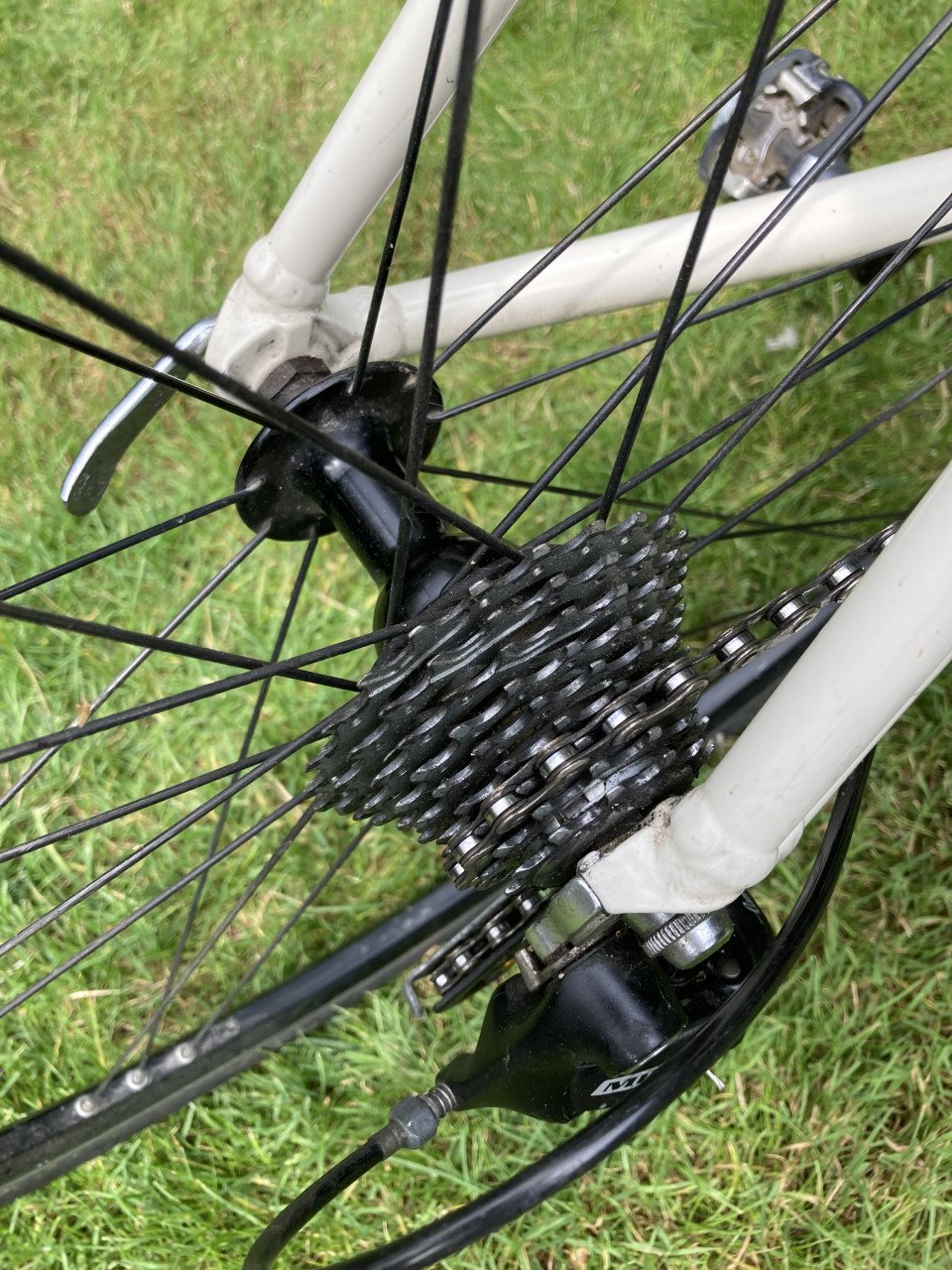 Racefiets GIANT OCR Campagnolo maat 53