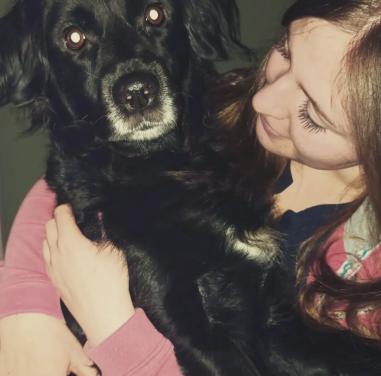 Lieve hond gezocht, liefdevol huisje aangeboden.