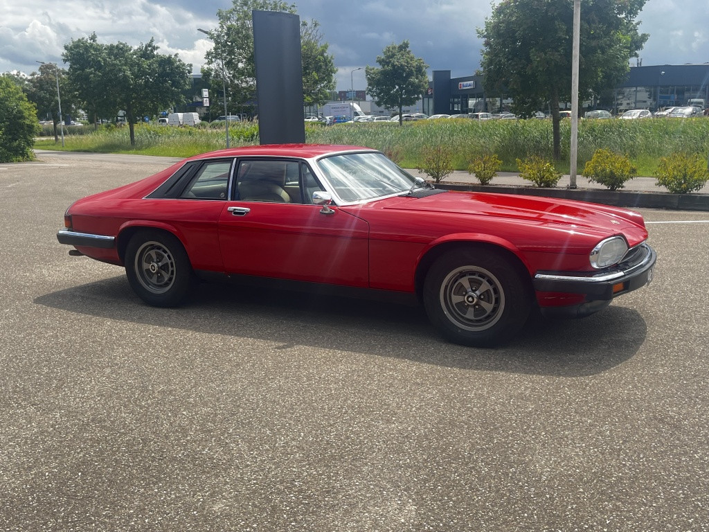 Jaguar Xj xjs 5.3 v12 coupé
