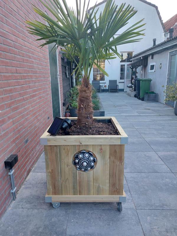Zeeuwse knop bloembakken projecten ter inspiraties L70 x B70 x H70