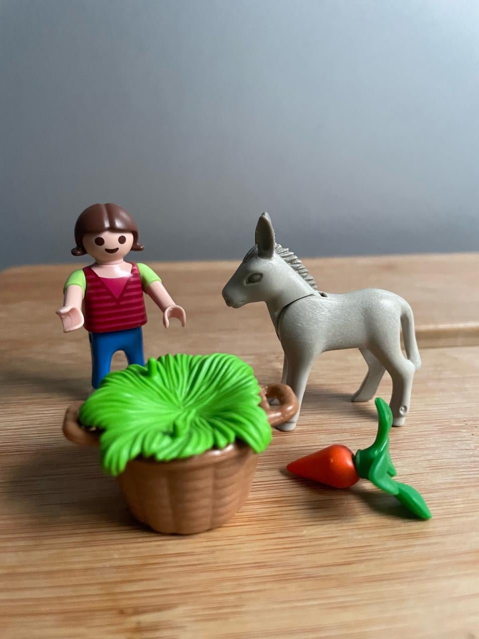 Kleine setjes van playmobil
