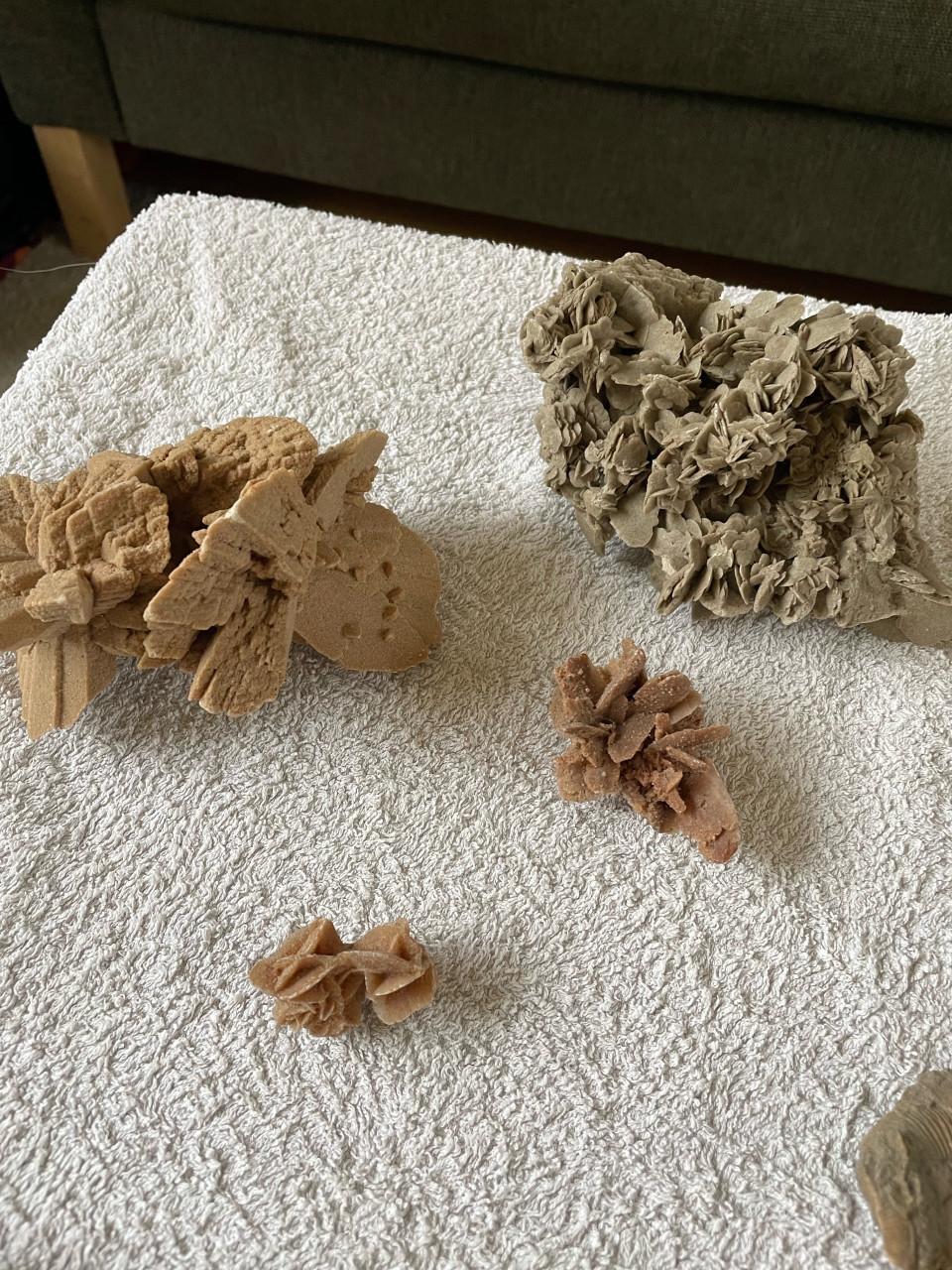 Mineralen en fossielen