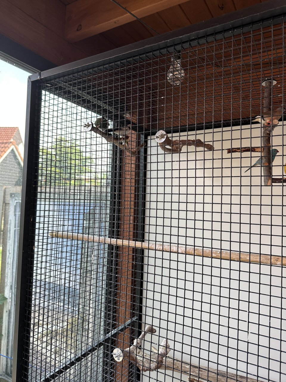 Vogels