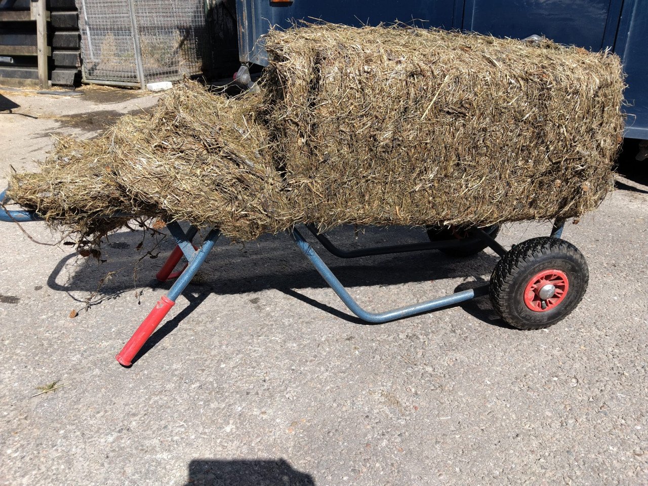 Kleine baaltjes kuil gras met klaver 50 kg