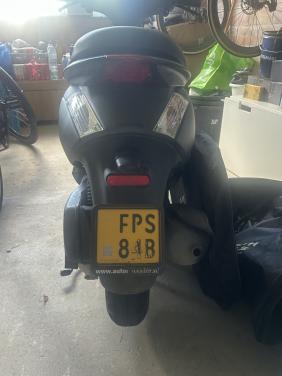 Zip Scooter