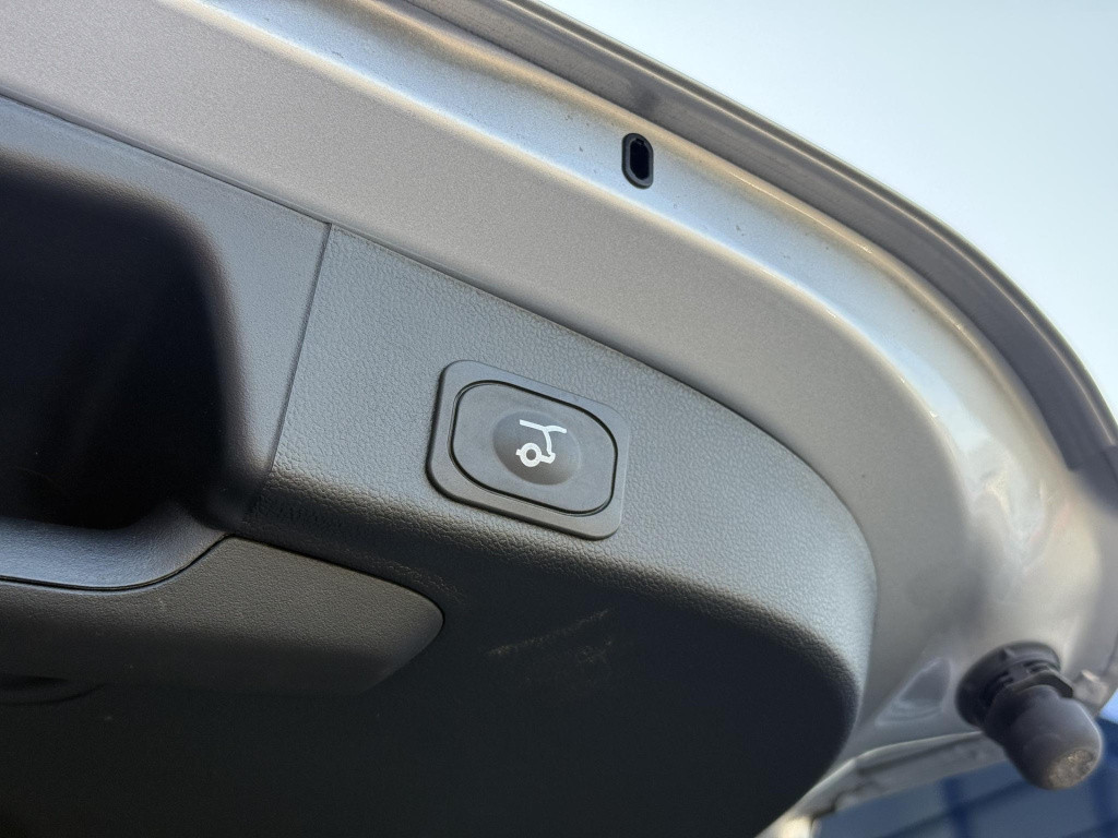 Ford Focus wagon 1.0 ecoboost hybrid st line x | leder interieur | draadloo