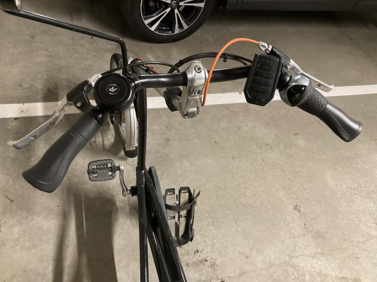 Van Raam Drie wiel fiets easy rider