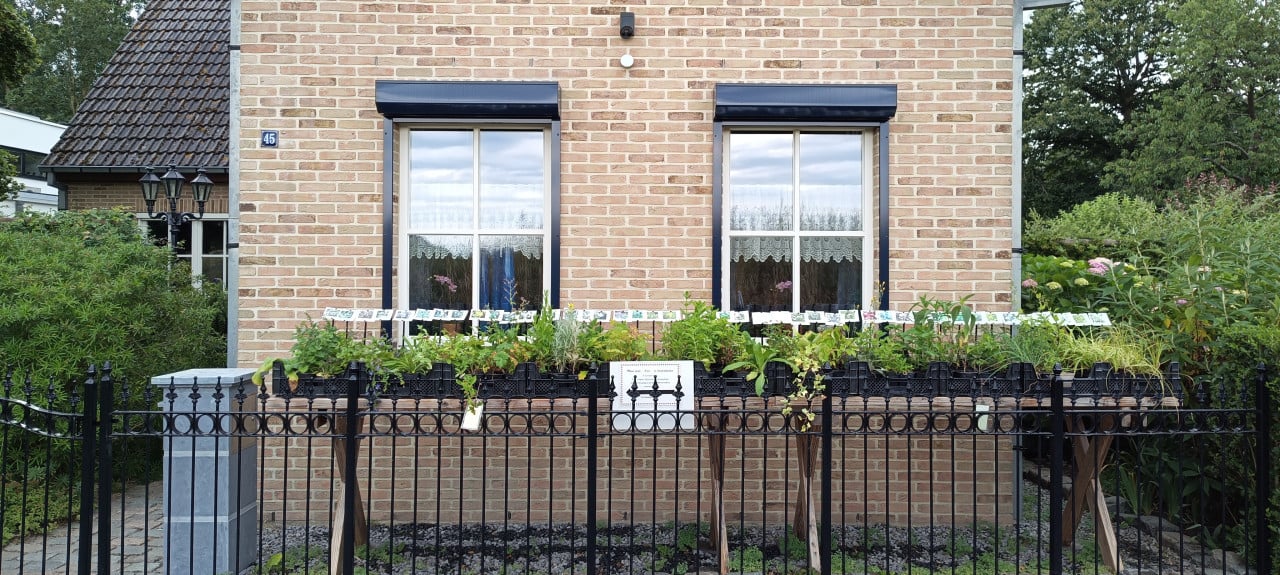 Weer volop aanbod in ons plantenkraampje ! Vaste planten voor €1,25 p/st.