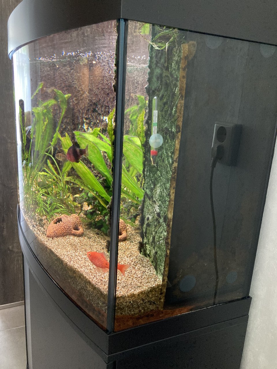 Aquarium