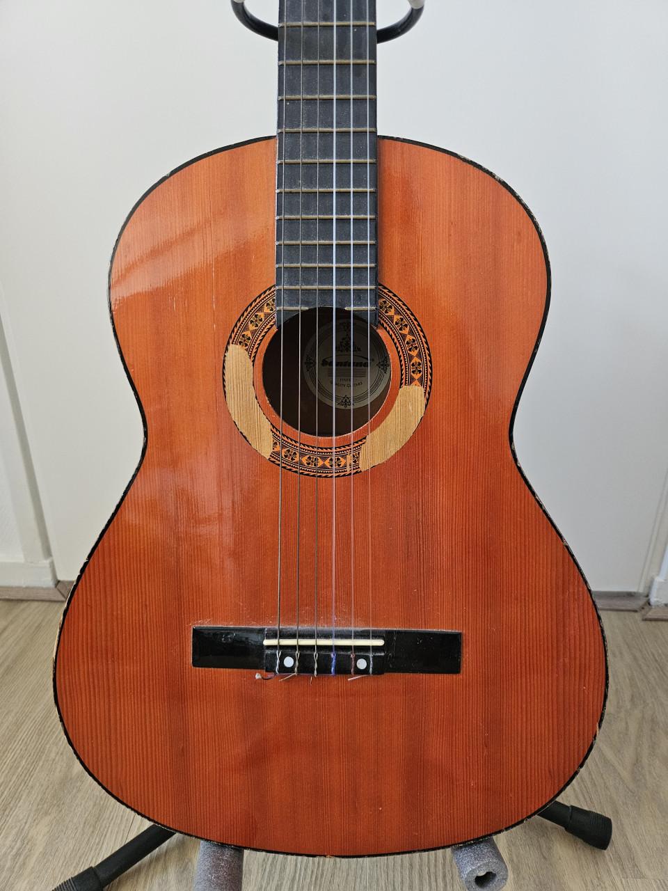 Santana akoestische gitaar (inclusief standaard)