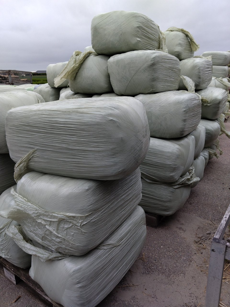 Kleine baaltjes kuil gras met klaver 50 kg