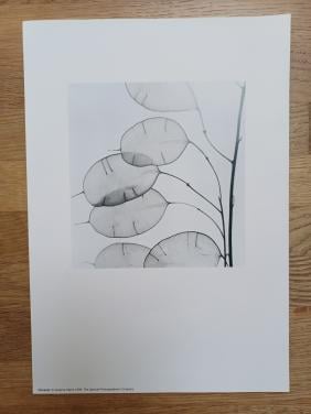 Drie mooie foto prints (A4) - Graeme Harris, images: 3 x voor 3,-