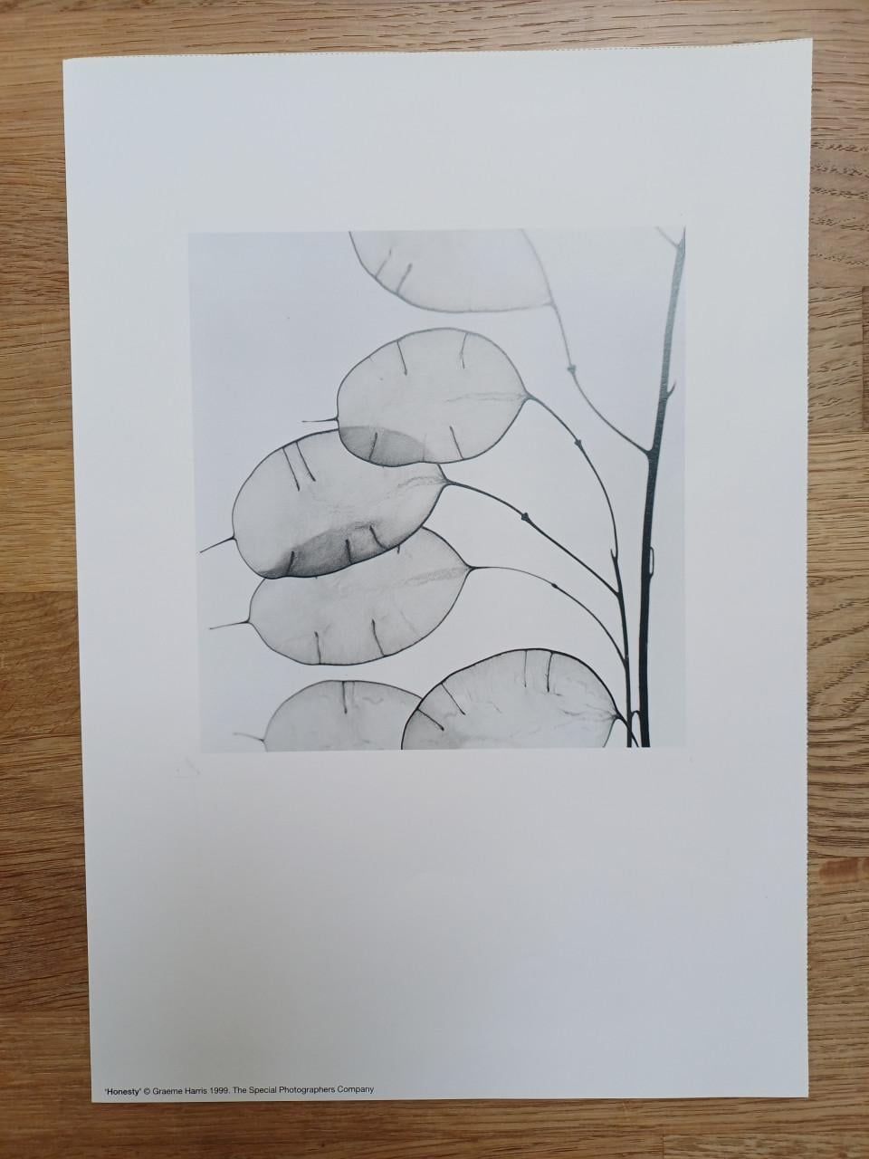 Drie mooie foto prints (A4) - Graeme Harris, images: 3 x voor 3,-