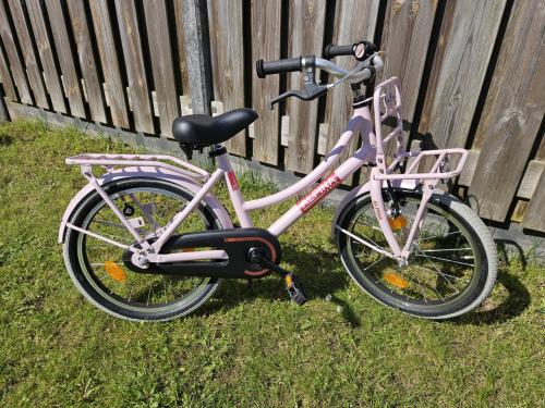 Kinderfiets/meisjesfiets alpina cargo 18 inch roze