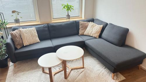 Moderne grijze hoekbank