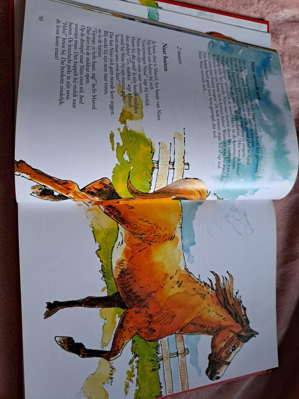Paardenboek