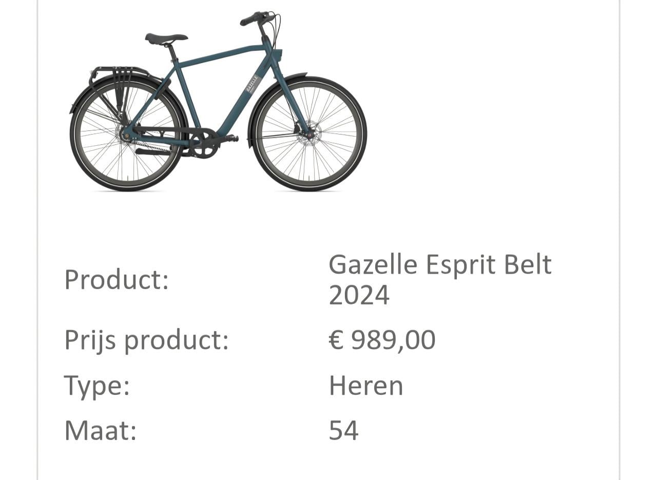 Gazelle Esprit fiets met belt