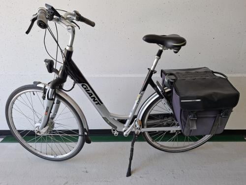Giant Twist elektrische fiets | Framemaat L (55 cm)