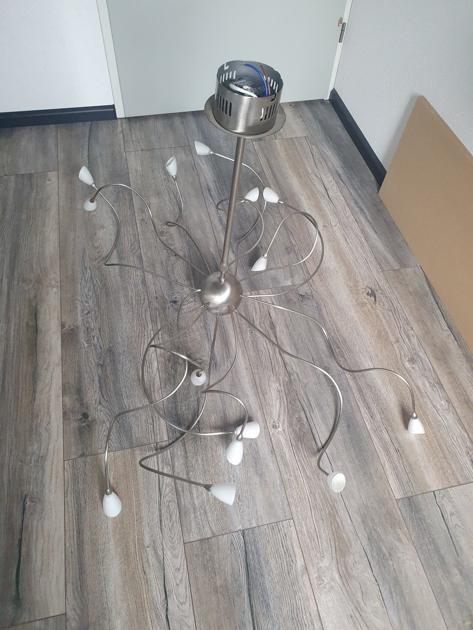 Lamp
