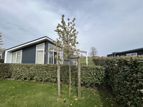 Vakantiewoning Water Resort Oosterschelde