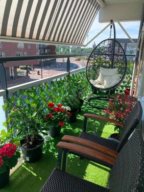 18 prachtige balkon- en tuinplanten