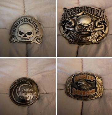 Harley Davidson Buckles