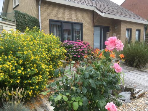 Te huur aangeboden voor langere tijd: bungalow in Westkapelle