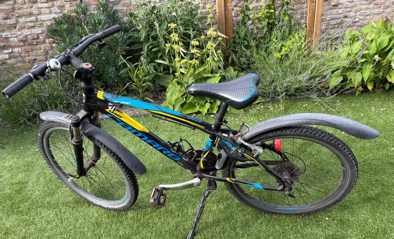 Mountainbike 24 inch