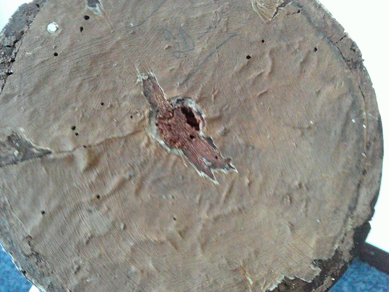 VROEG 19DE EEUW VERGULD GRAFORNAMENT