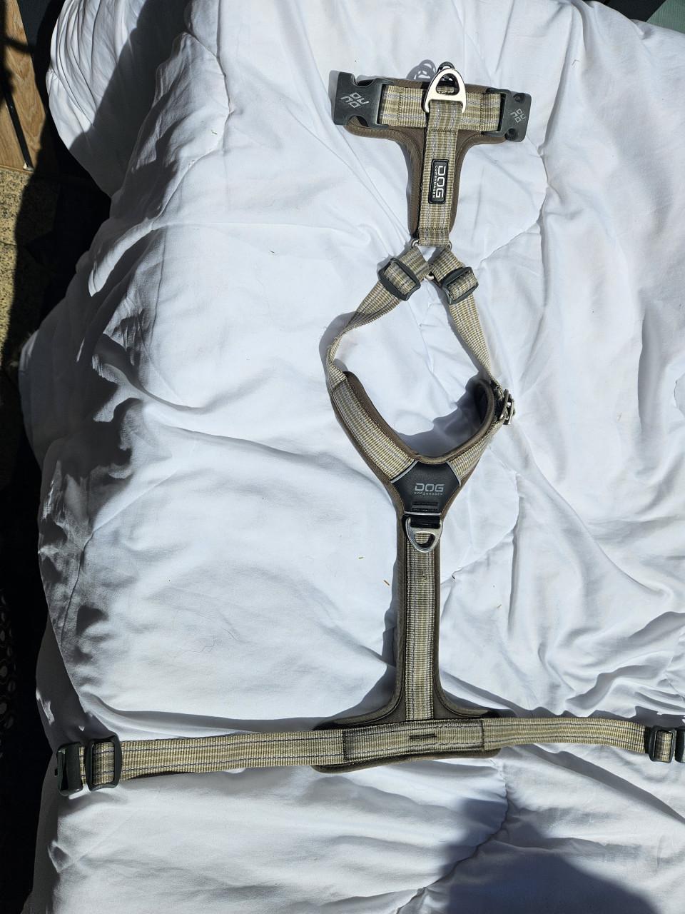 Hondentuigje Dog Copenhagen M