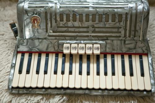 Italiaanse Marinucci accordeon 80 bas