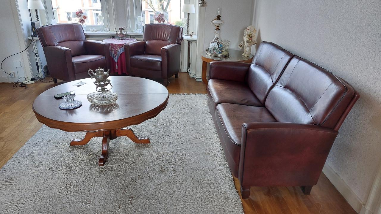 Bruin leren 2,5 zits