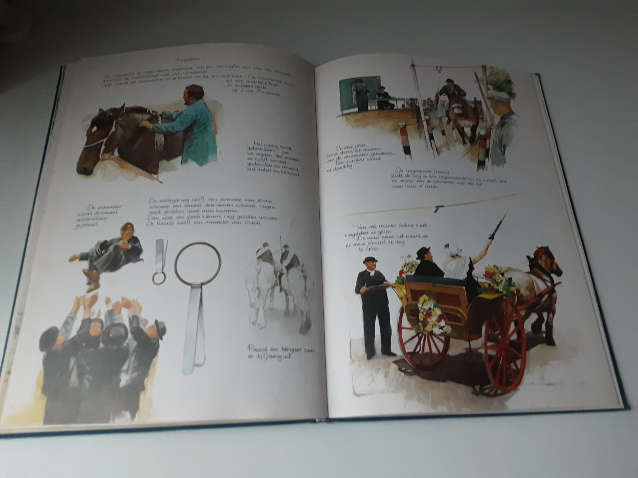 Zeeuws platenboek