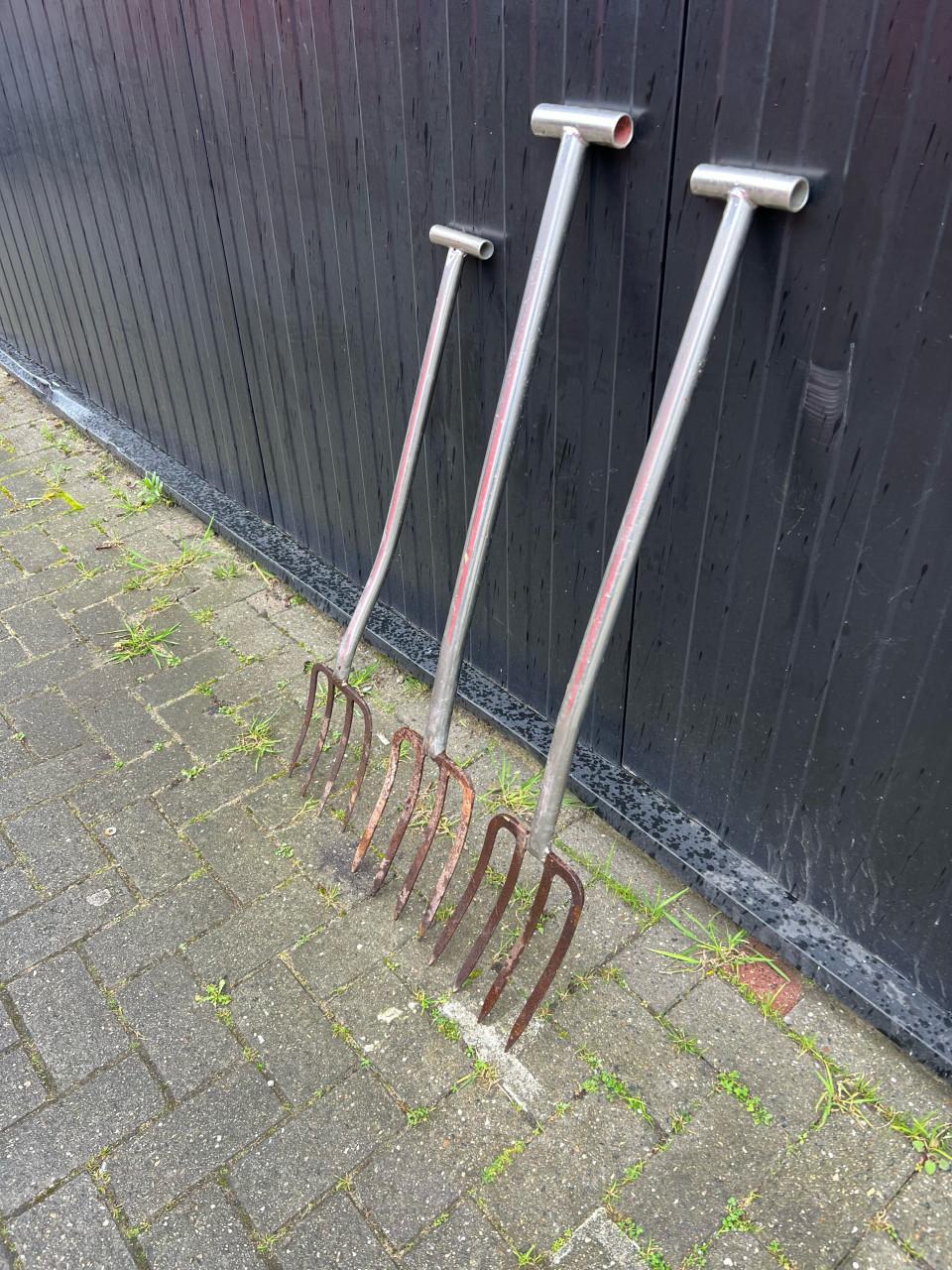 3 rieken om pieren te stekende