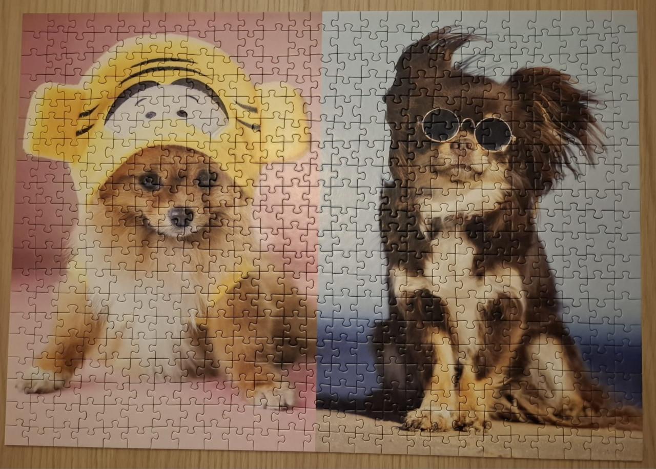 Puppy puzzels