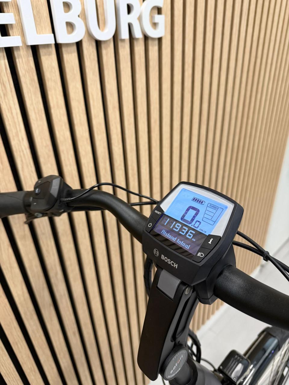 Pegasus Ravenna Evo Bosch Performance Line 45CM 625Wh Belt