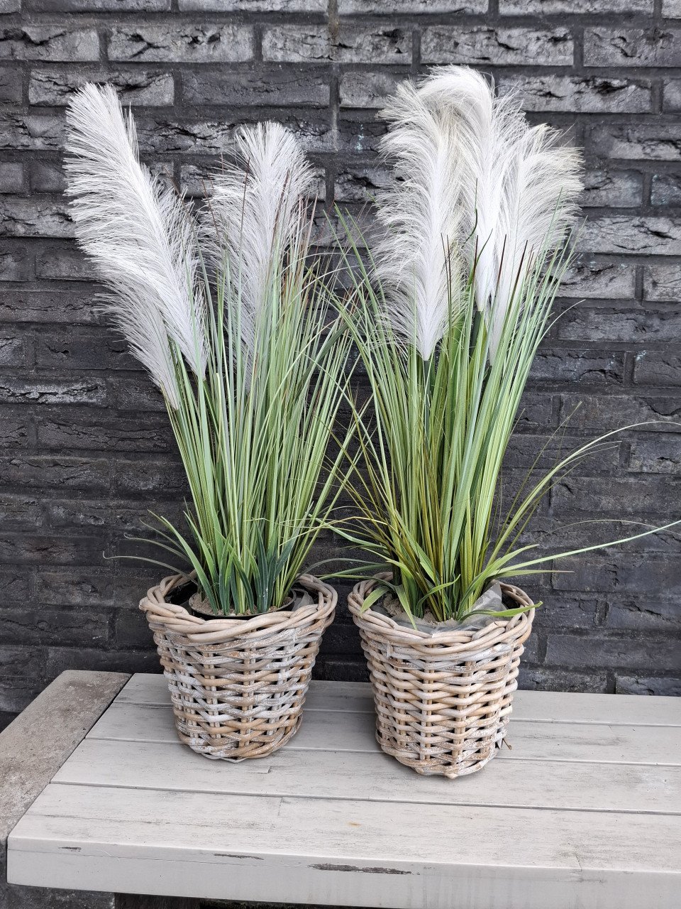 Kunstgras planten