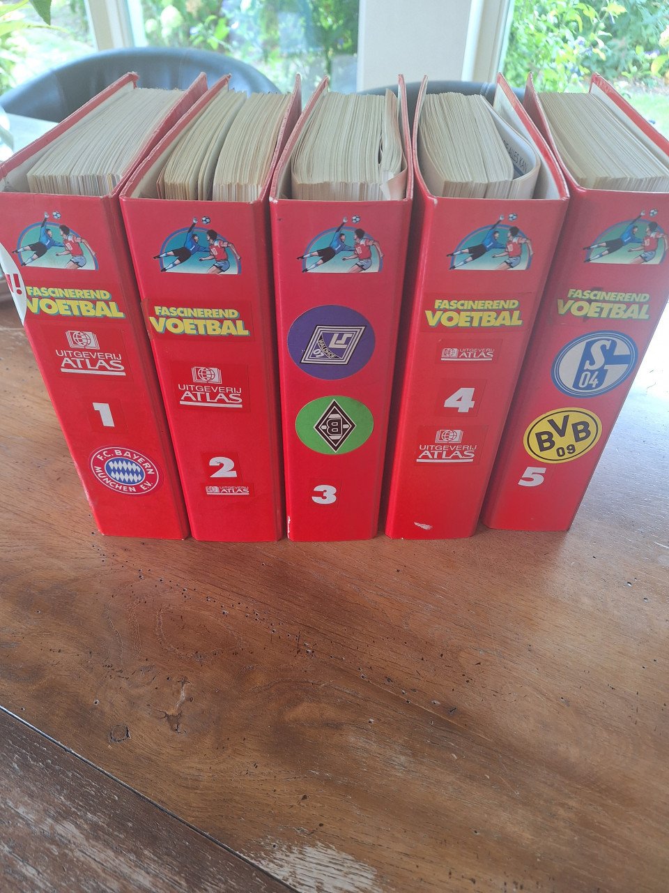 VOETBAL BOEKEN VOOR EEN ECHTE LIEFHEBBER