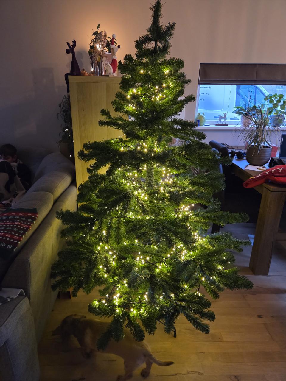 Kerstboom intratuin Calgary 180 hoog