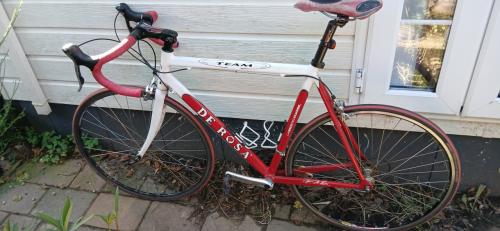 De Rosa Team