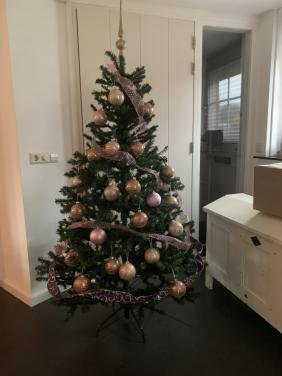 Kerstboom 1.80 m hoog