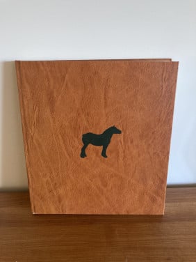 'Het brieschend paard' van Rien Poortvliet incl. bouwplaat