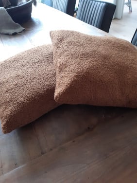 Kussens twee stuks geen koeriersdiensten