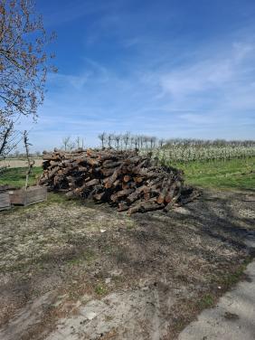 Openhaard hout
