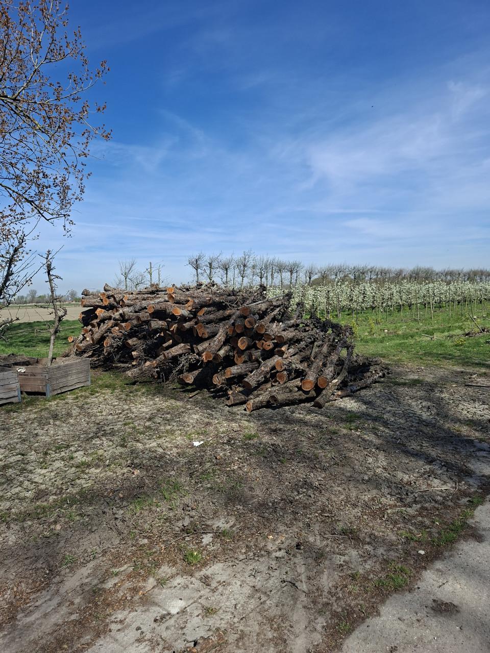 Openhaard hout